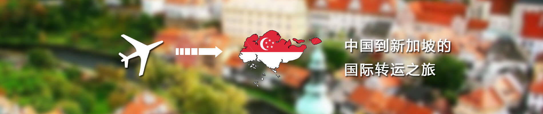 新加坡專題banner